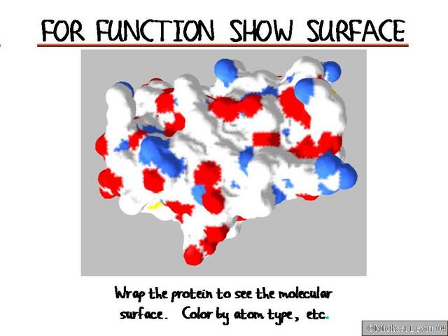 For_Function_Show_Surface