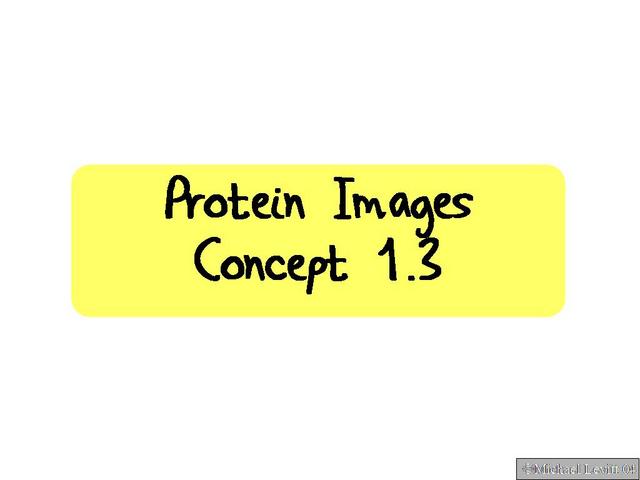 Protein_Images._Concept_1.3