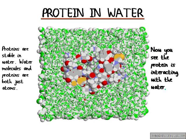 Protein_in_Water