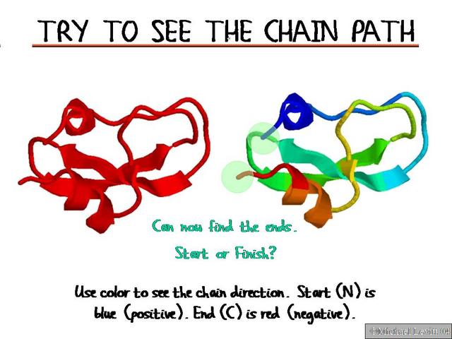 Try_to_See_the_Chain_Path