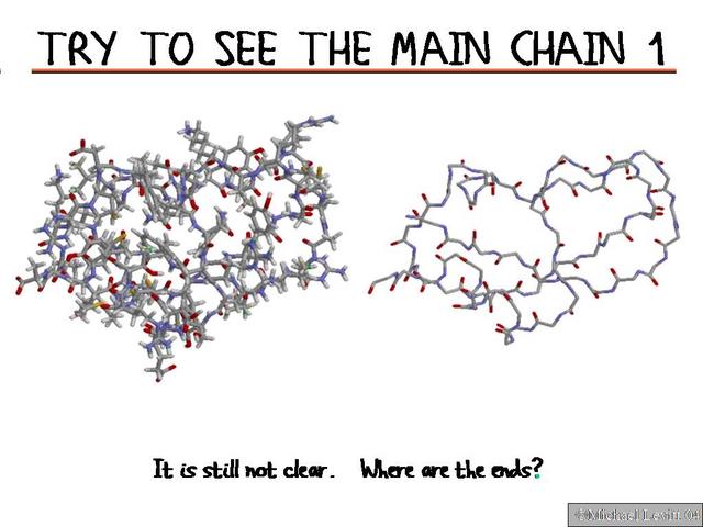 Try_to_See_the_Main_Chain_1