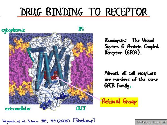 Drug_Binding_to_Receptor