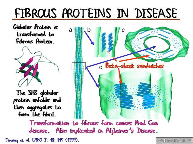 Fibrous_Proteins_in_Disease