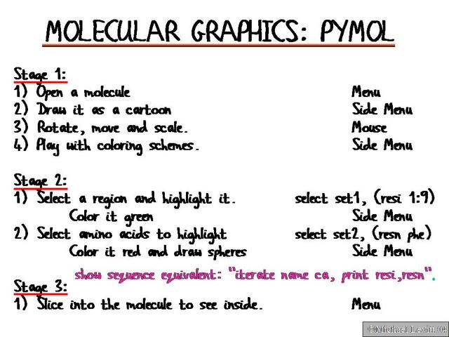 Molecular_Graphics_Pymol