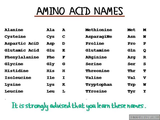 Amino_Acid_Names
