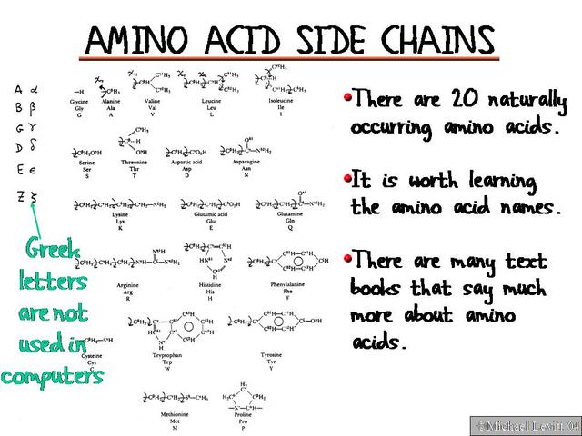 Amino_Acid_Side_Chains