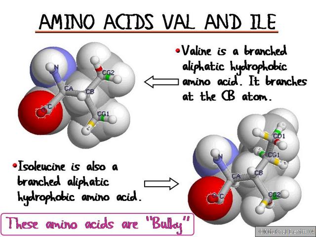 Amino_Acids_Val_and_Ile