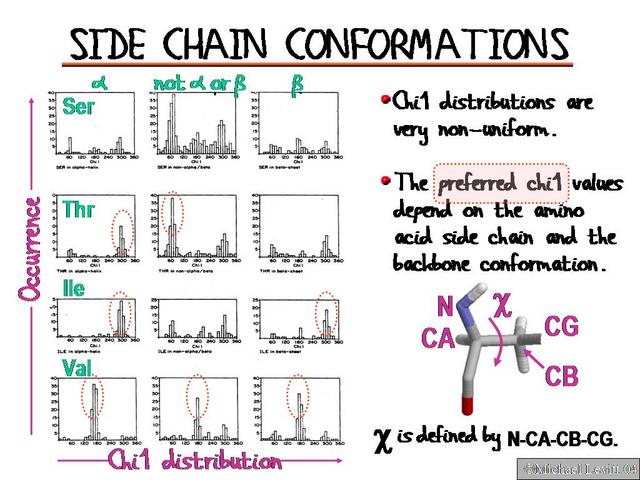 Side_Chain_Conformations