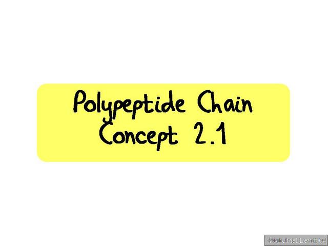 Polypeptide_Chain._Concept_2.1