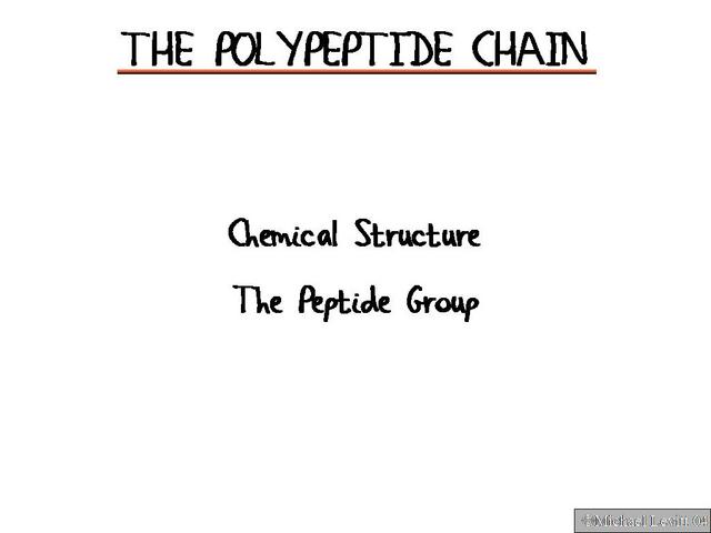 The_Polypeptide_Chain