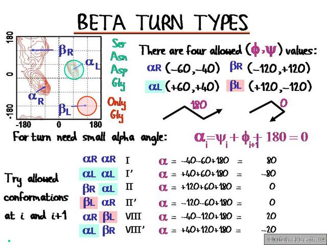 Beta_Turn_Types