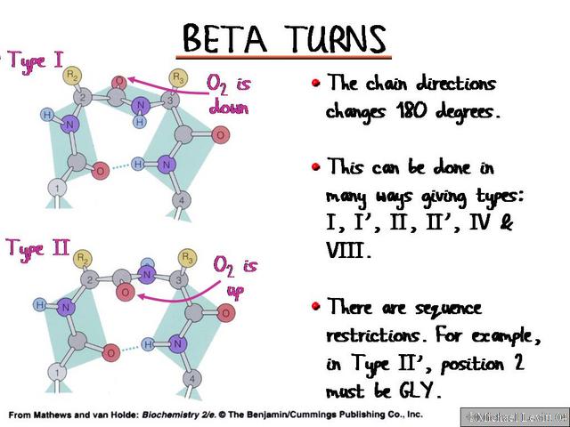 Beta_Turns