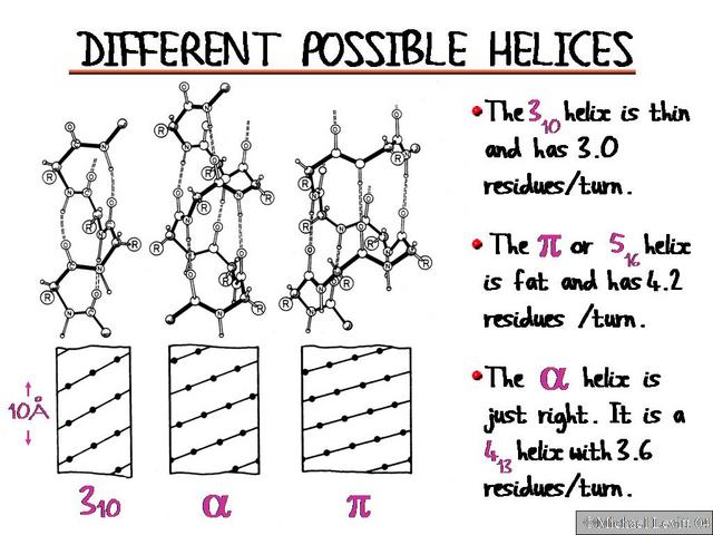 Different_Possible_Helices