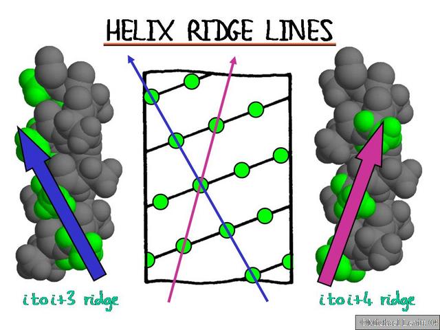 Helix_Ridge_Lines