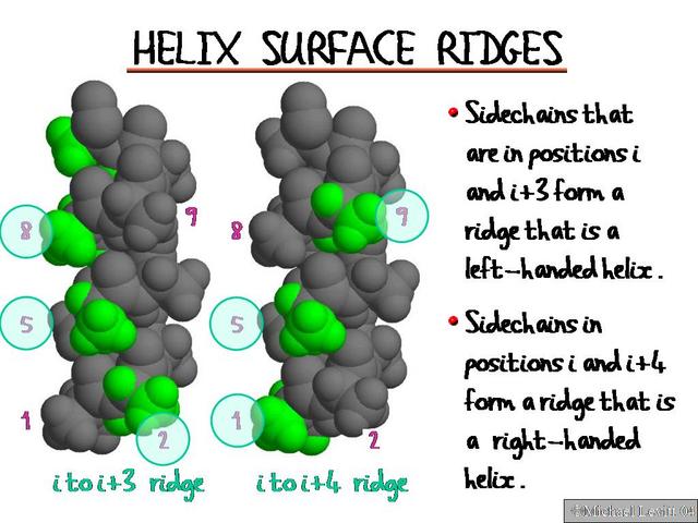 Helix_Surface_Ridges