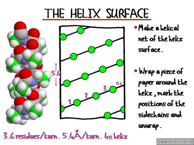 The_Helix_Surface