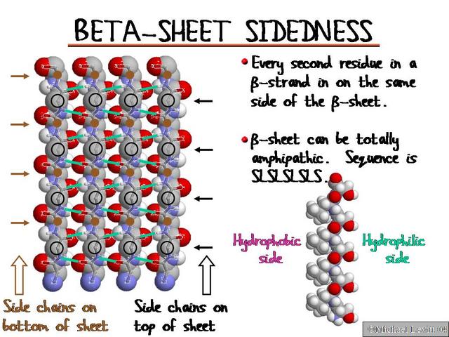 Beta-Sheet_Sidedness