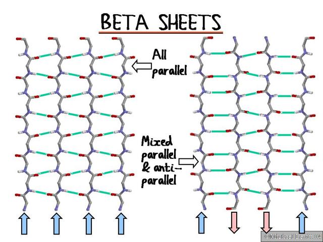 Beta_Sheet