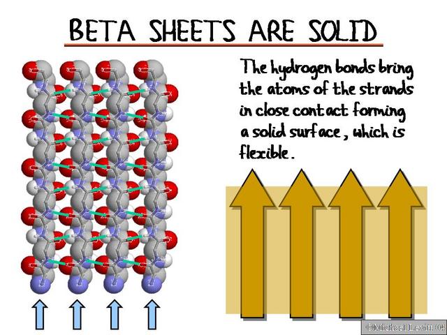 Beta_Sheets_Are_Solid