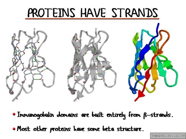 Proteins_Have_Strands