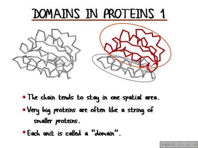 Domains_in_Proteins_1