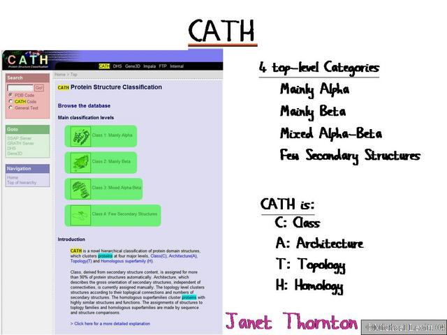 Cath