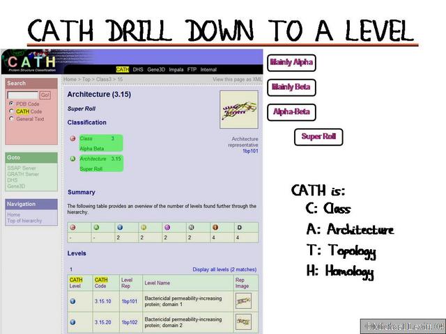 Cath_Drill_Down_to_H_Level