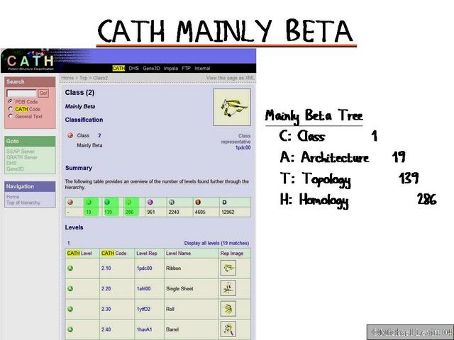 Cath_Mainly_Beta