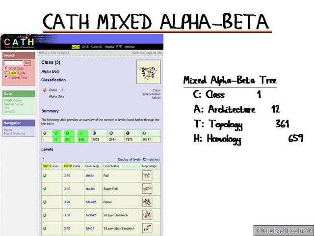 Cath_Mixed_Alpha-Beta