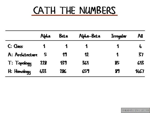 Cath_the_Numbers