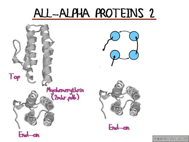 All-Alpha_Proteins_2
