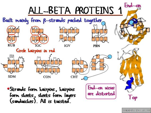 All-Beta_Proteins_1