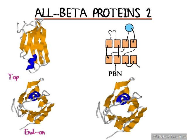 All-Beta_Proteins_2