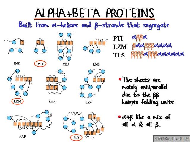 Alpha_Plus_Beta_Proteins