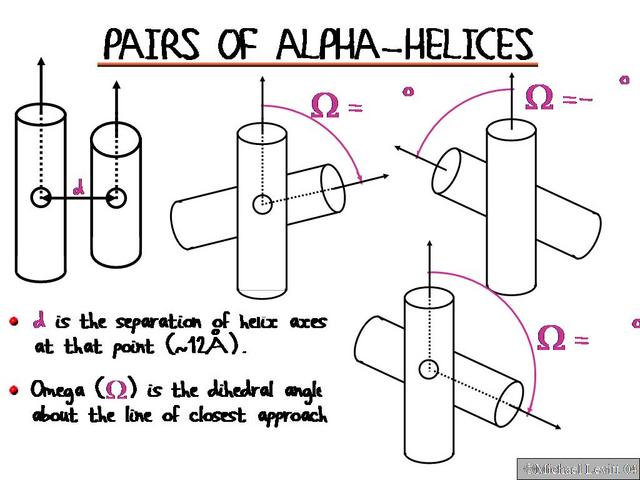 Pairs_of_Alpha-Helices