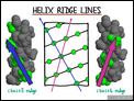 Helix Ridge Lines
