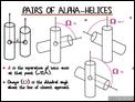 Pairs of Alpha-Helices