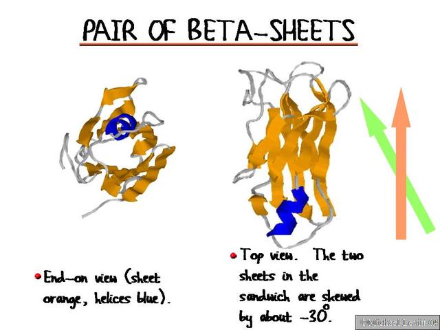 Pair_of_Beta-Sheets