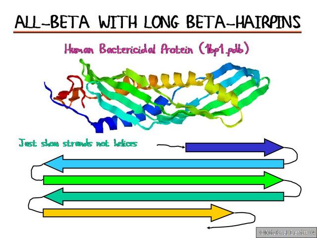 All-Beta_with_Long_Beta-Hairpins