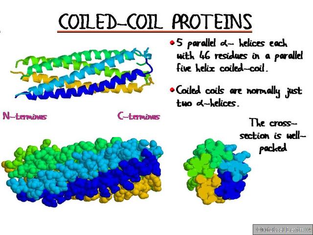 Coiled-Coil_Proteins