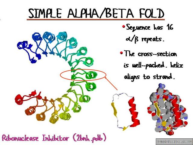 Simple_Alpha_Beta_Fold