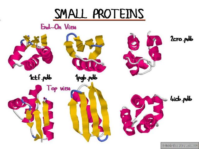 Small_Proteins