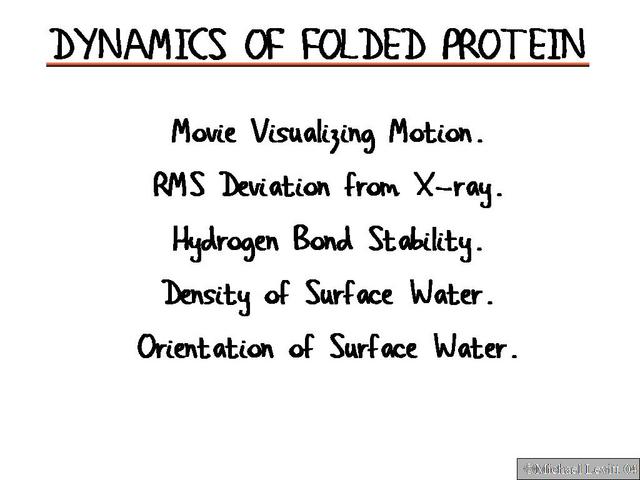 Dynamics_of_Folded_Protein