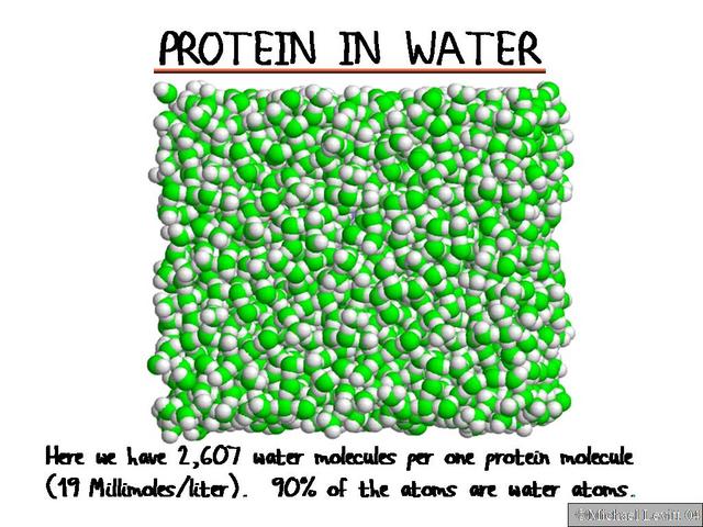 Protein_in_Water1