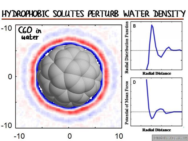 Hydrophobic_Solutes_Perturb_Water_Density