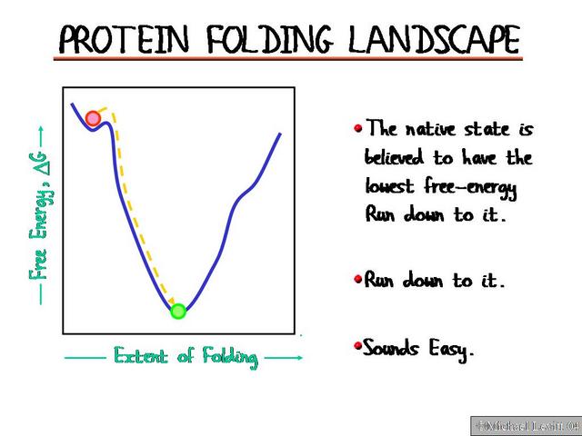 Protein_Folding_Landscape