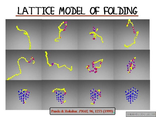 Lattice_Model_of_Folding