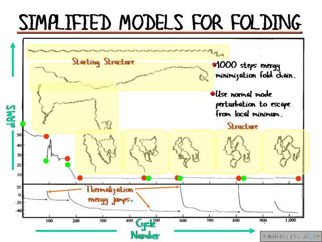 Simplified_Models_for_Folding1