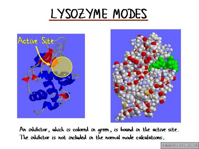 Lysozyme_Modes
