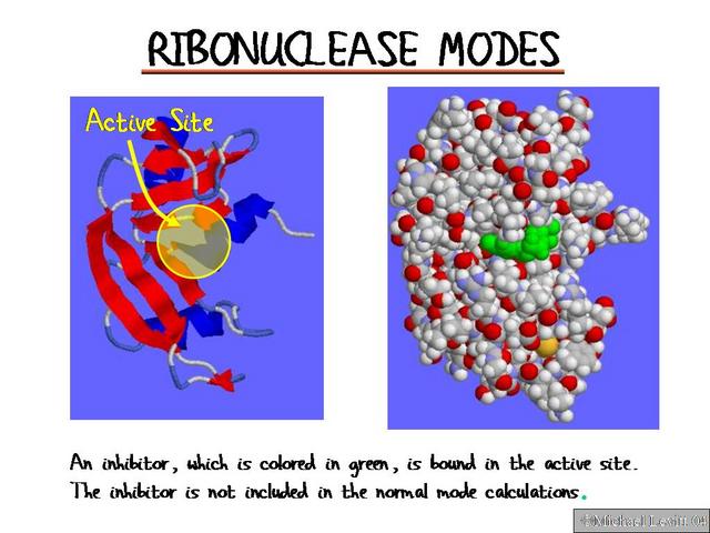 Ribonuclease_Modes